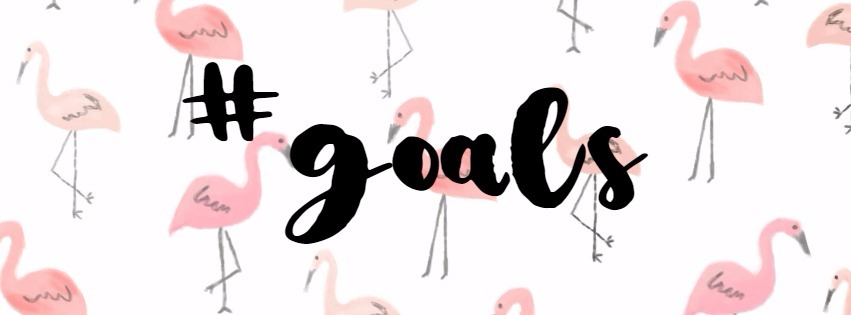 goals (1)